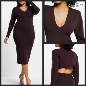 Express Plum Long-Sleeve V-Neck Midi Dress